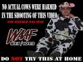 Thumbnail #3