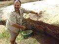 Arqueologia
