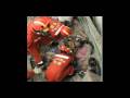China Earthquake at Glance