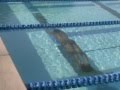 100 meters with monofin