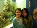 tate woods field trip shedd aquarium