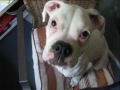 Chloe grows up.wmv