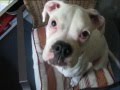 Chloe grows up.wmv