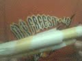 how to make a paper gun part 3