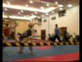 videos de Taekwondo