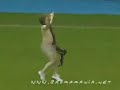 pelad�o no futebol