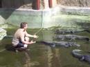Man bores alligators by talking to them.  The alligators start walking away.
