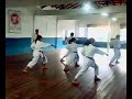 KARATE-DO GENSEIRYU BUTOKUKAI,,