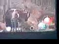 resident evil 4 wii,matando al gigante
