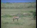 Uganda impressions (2003)