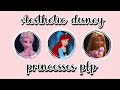 The Best 23 Princess Aesthetic Cartoon Profile Pictures Disney