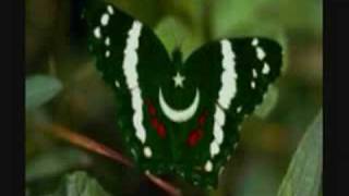 Mirza Jatt - Alam Lohar Duet