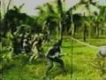 Ang Tunay na Kulay ng CPP/NPA