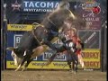 Robson Palermo VS Perfect Poison