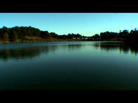 Aerial Shots -