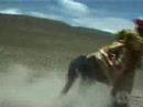 happytimes_vid happytimes_vid