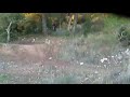 salto de kiku.mp4