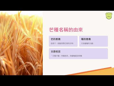 節氣小學堂《芒種》