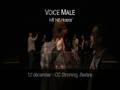 Voice Male: Hit Hit Hoera!