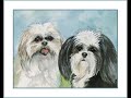 Watercolor dog portraits