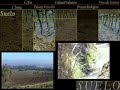 Vinos de Terroir - Viticultura