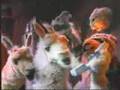 La llama que llama - Arequito
