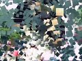 Frederique Spigt in vondelpark 2007-compilatie