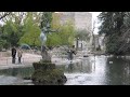 Avignon