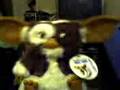 mascota