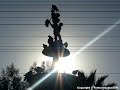 Marinera de Arequipa: 