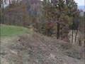 Wild-land Fire and Home Owner's Insurance