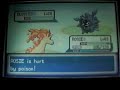 Pokemon Leaf Green :: Rapidash is trained.