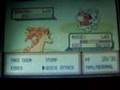 Pokemon Leaf Green :: Rapidash is trained.