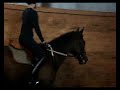 Schooling Vinny! Luke Doucet!
