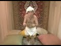 chachacha  sidharta kiwi 7 