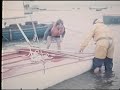 A short film of the Tremlett brothers sailing their Thai IV catamarans from Locks Sailing Club, Portsmouth. Date believed to be 1962. All thanks to the Tremlett family for making the film available.