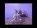 Bali Diving Part 9 Bali Diving Part 9