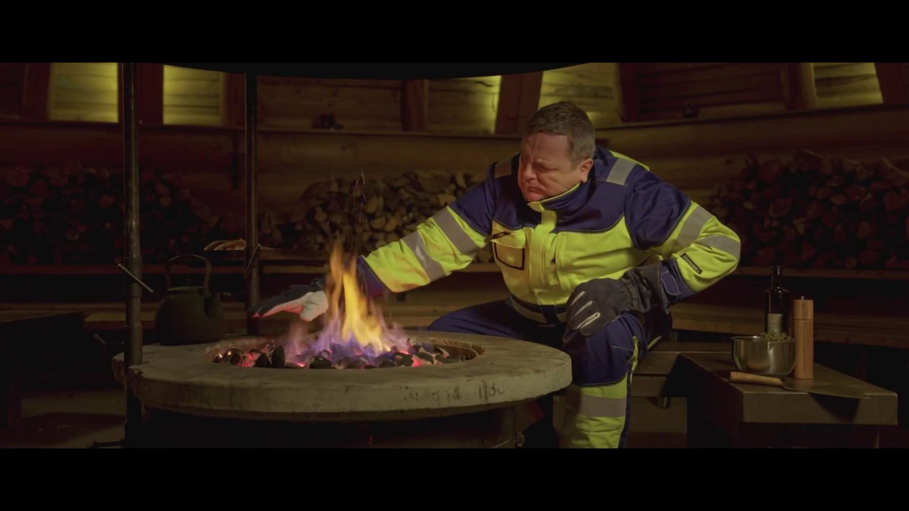 Leijona Järvi-Suomen urosleijona