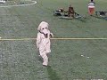Nuit Blanche - Dog mascot rocks out