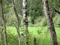 Weekendowe spotkanie z natur? - BC KANADA Weekendowe spotkanie z natur? - BC KANADA