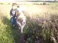 kieran walking heidi