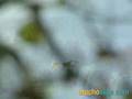 IGUAZÚ - MUCHOVIAJE