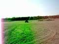 yamaha 06 banshee VS 05 honda 450 yamaha 06 banshee VS 05 honda 450