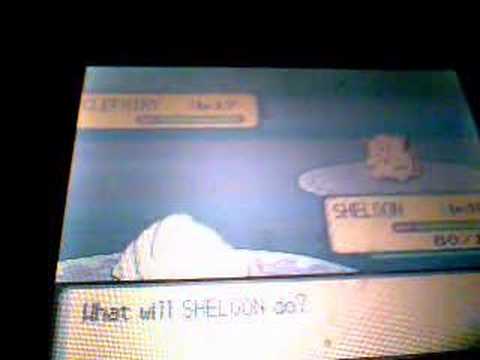shelgon