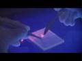 AZTI-Tecnalia (Vídeo Corporativo)