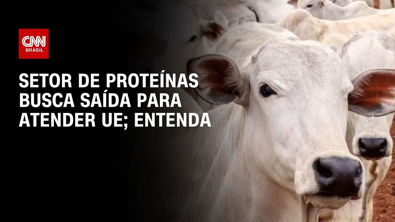 Setor de proteínas busca saída com governo para atender exigências da UE | CNN AGRO NEWS