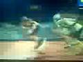 3000 mts relevos femenino xvIII juegos nacionales 2008