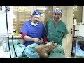 operacije kristine lumbar