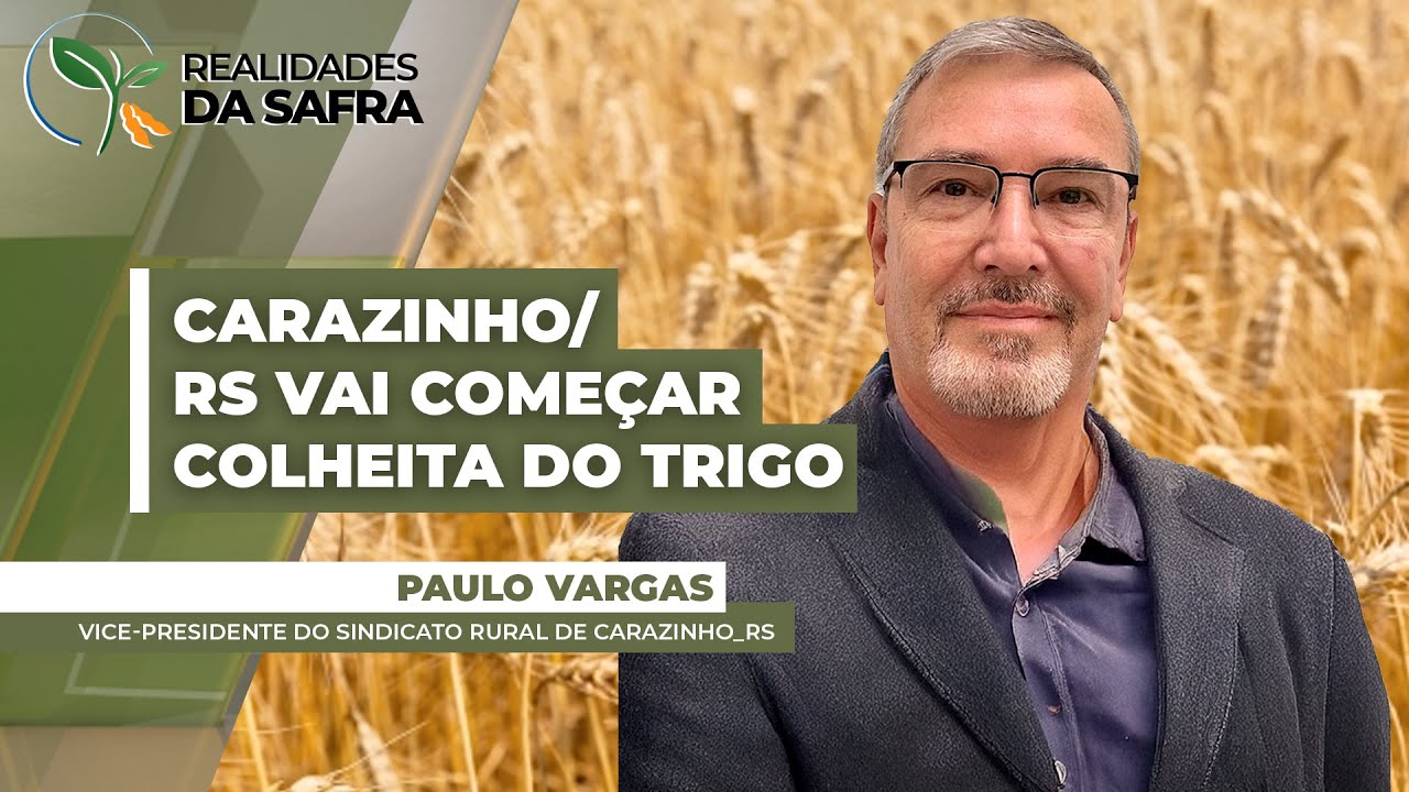 Carazinho/RS se prepara para iniciar colheita do trigo e plantio da soja