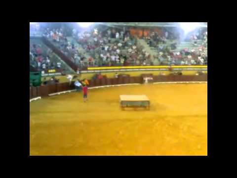 Toro asesino provoca otra muerte de joven!!! Videos